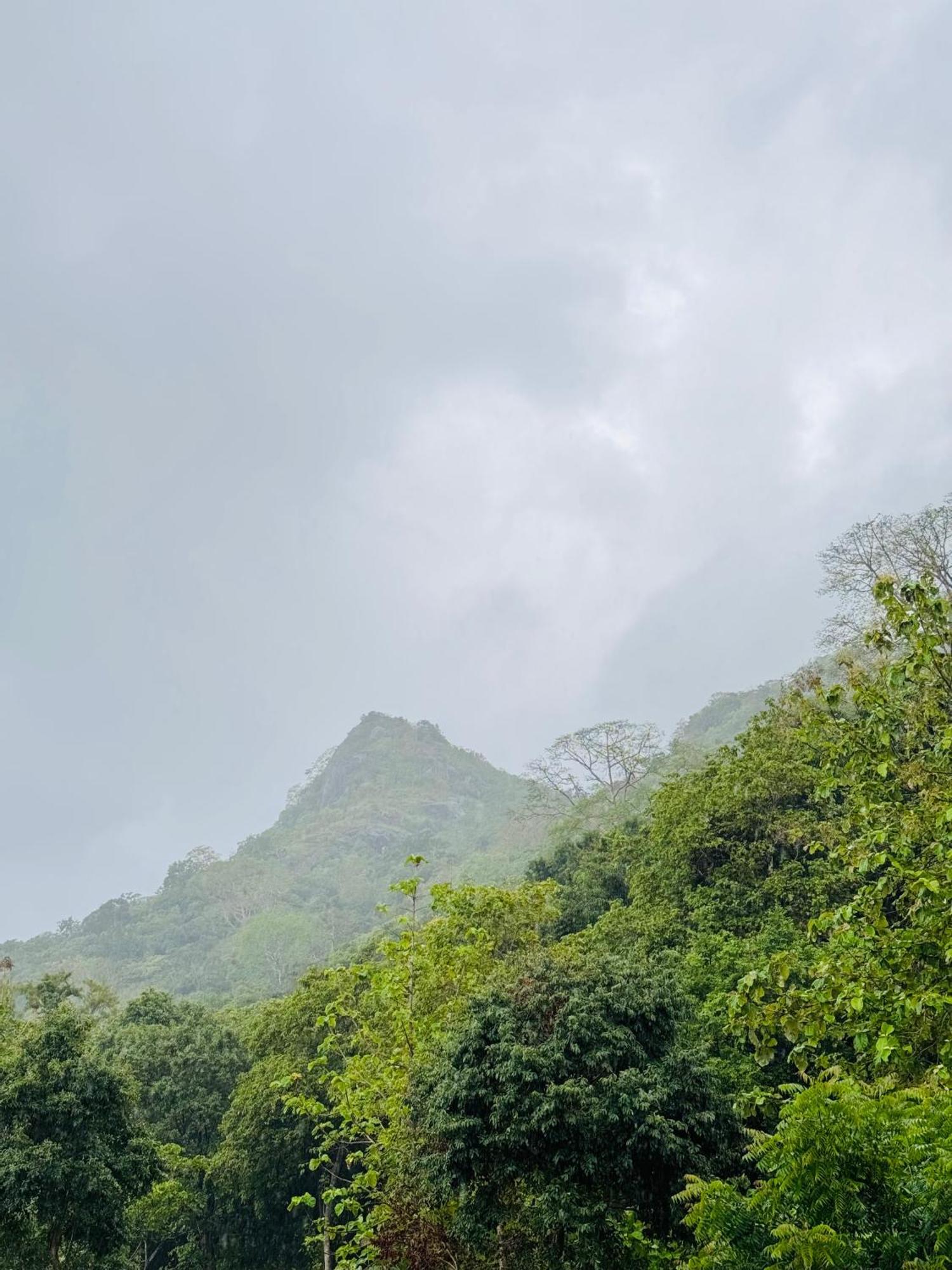 The Forest Edge Resort Dambulla Exterior photo